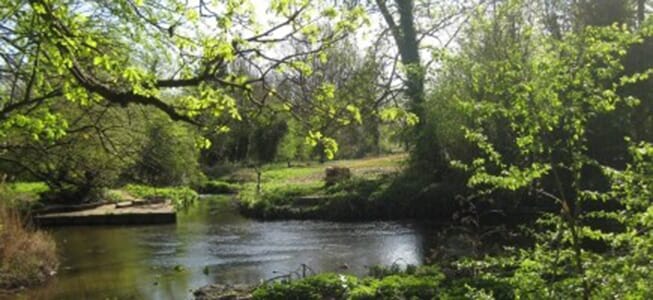 River Crane Valley Park Image1