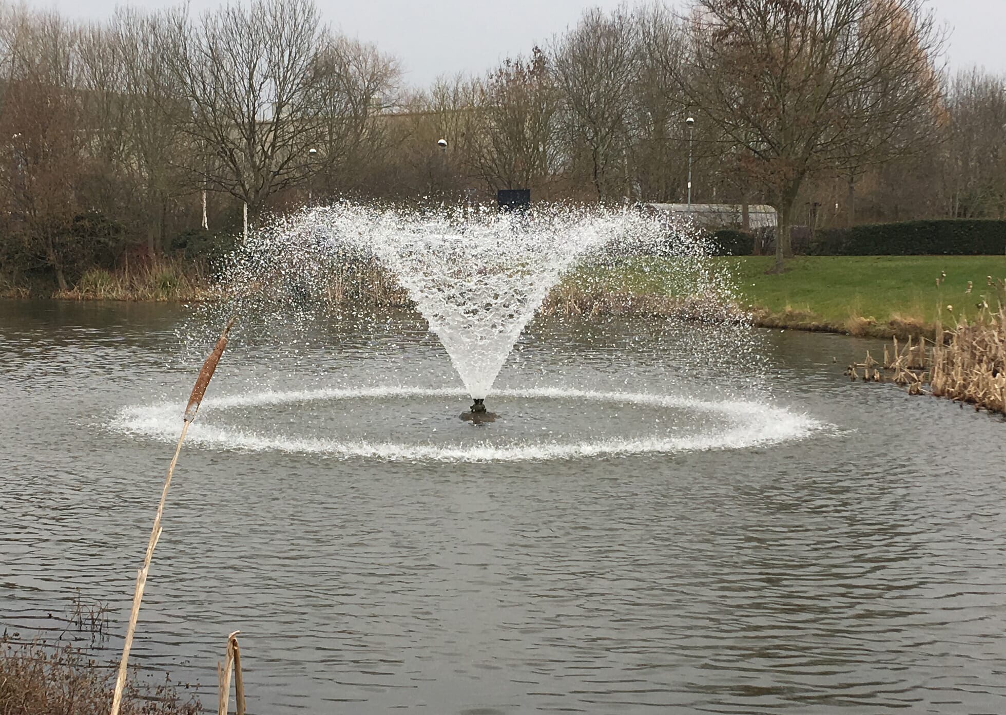  Surface aeration fountain